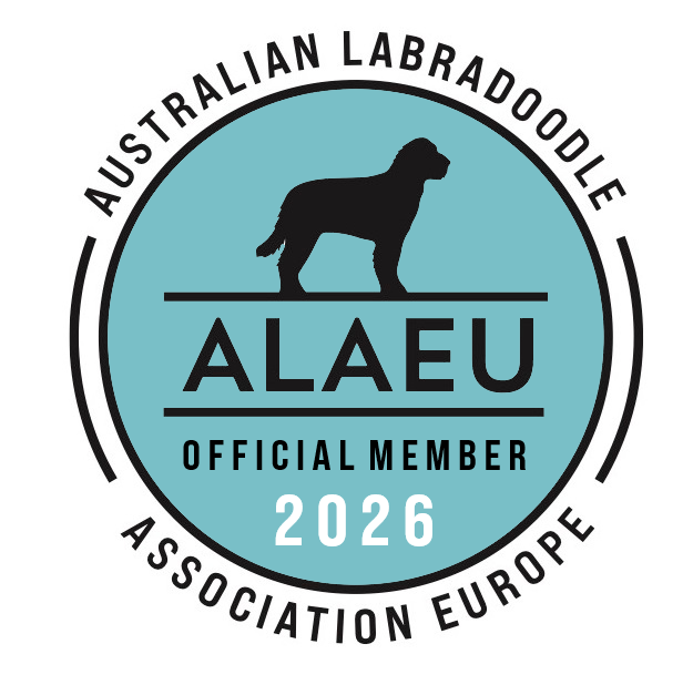 alae